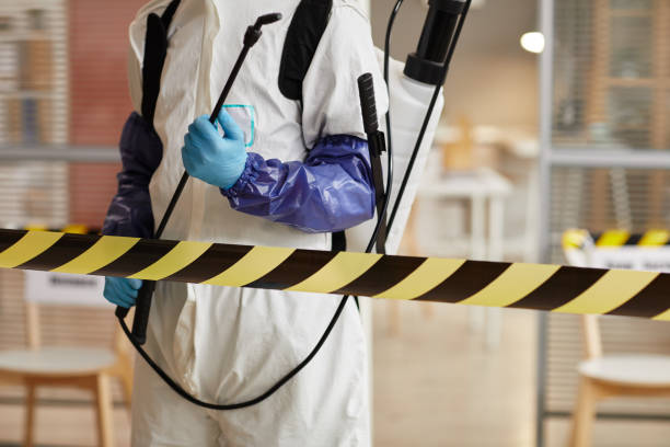 Professional Sewage Cleanup technician working in Riverhead, NY